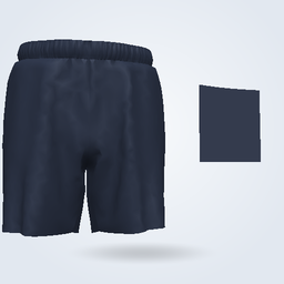 Male Track Shorts